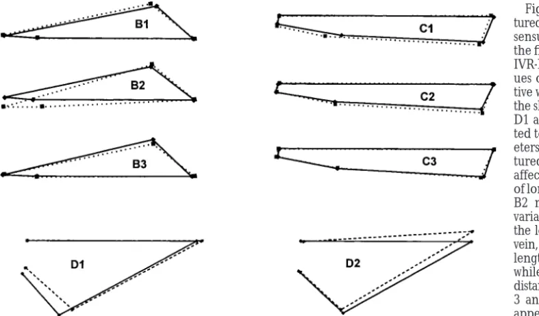 Figure 2.—Shape variation cap-vein and distal portion of longitudinal vein 5, while D2 is related to the length of the distal longitudinal vein 4 and its placementat the wing margin