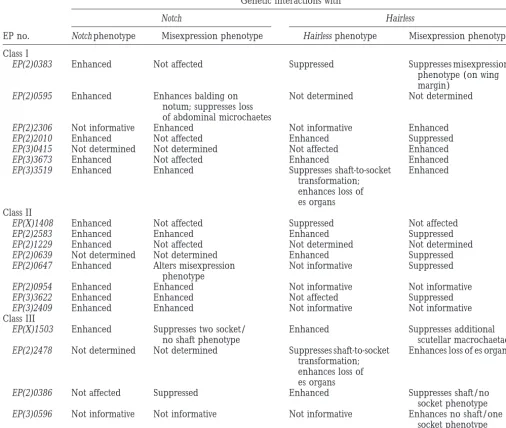 TABLE 2
