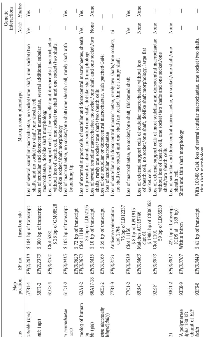 TABLE 1