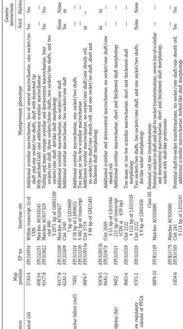 TABLE 1