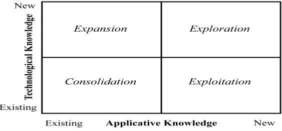 Figure 2: Knowledge chain (from: Holsapple and Singh 2001) 
