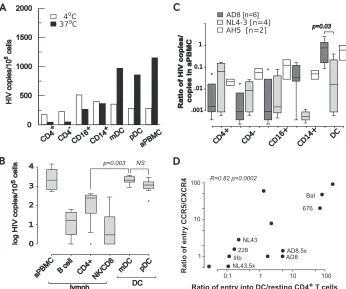 FIG. 2. Quantitation of HIV-1 infection of sorted blood leukocytes. (A) Cells were sorted by ﬂow cytometry, infected with HIV-1AD8sorted into mDCs (HLA-DRthat had been characterized by entry into ghost cells expressing CCR5 or CXCR4