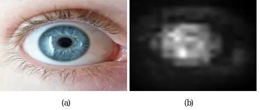 Fig  2. (a) Input eye image (b) Final Saliency map 