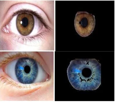 TABLE I.  COMPUTATION TIME FOR IRIS SEGMENTATION  