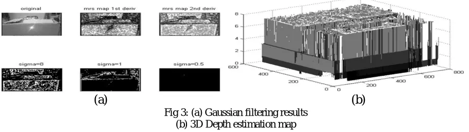 Fig 3: (a) Gaussian filtering results (b) 3D Depth estimation map 