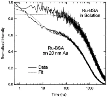 Figure 2.4. Normalized intensity versus time for solutions of [Ru(bipy)concentration of [Ru(bipy)BSA in solution and [Ru(bipy)diameter gold colloid concentration was 0.4 nM