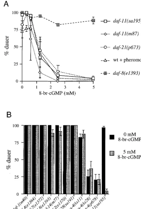 Figure 2.—Effects of 8-bromo-cGMP on dauer formation.(A) Dose response curve forat 25other Daf-c mutants at 258(e1393) daf-11, daf-21, and daf-8 mutants� and on the wild type with pheromone