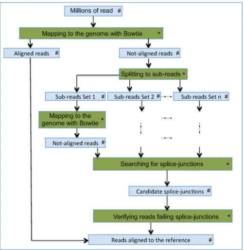 Fig. 1 Overview of the TopHat aligning approach: color online
