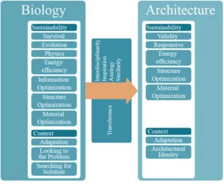 Fig. 1Transference from Nature to Architecture (Source: Researcher) 