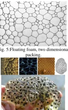 Fig. 5:Floating foam, two dimensional  packing. 
