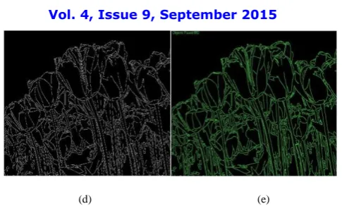 Fig. 2.Edge Detection and Boundary Estimation (a) Original color image (b) Image after converting to grayscale (c) Image after converting to binary (d) Canny Edge Detection Output (e) Final result containing boundaries of each object 