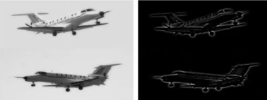 Fig. 6 Fused and error image using SVD 