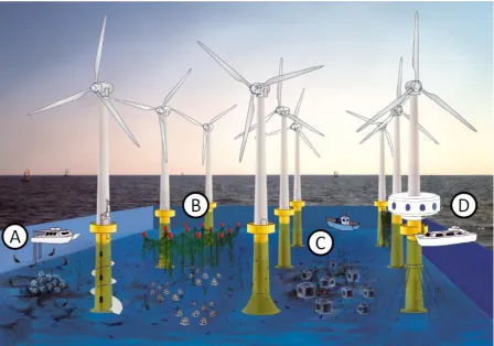 Figure 1:  Example of multi-use management of a wind farm. The wind turbine density is artificially high to facilitate the presentation of the concept