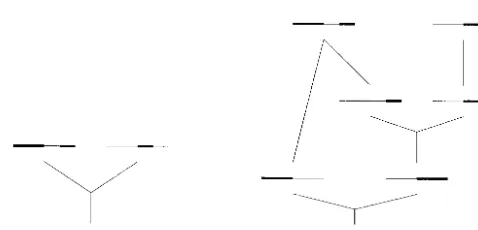 Figure 1.—(A) Recombination and (B) geneconversion. If the resolution of the Holliday junc-