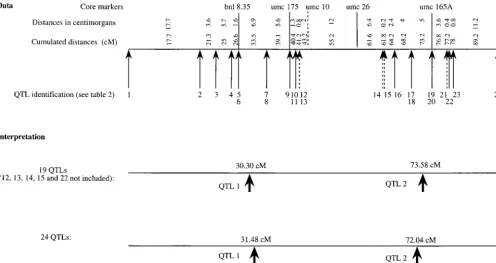 Figure 1.—QTL related to yield on linkage group 3 of the maize genome.