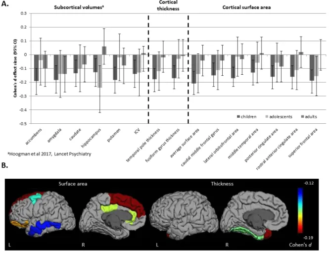 FIGURE 1. Subcortical and cortical brain differences across the lifespan. 