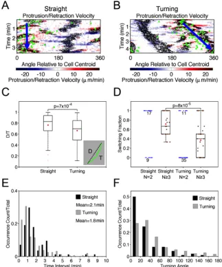 Figure 2.4  Persistent and turning migration states are associated with switching and same-side bifurcations