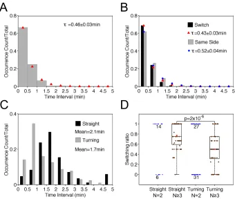 Figure 3.2  Comparison of simulated F-actin dynamics to experiment.  a) Normalized waiting-time distribution (WTD) for pairs of consecutive bifurcation events (n = 686) in simulations with the same set of parameters as used in Fig