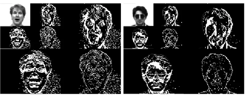 Fig 4  Face Images after Two-level Haar Wavelets 