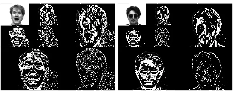 Fig 4  Face Images after Two-level Haar Wavelets 