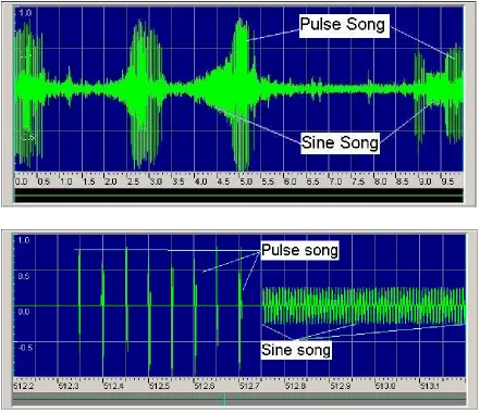 Figure 1.2: 