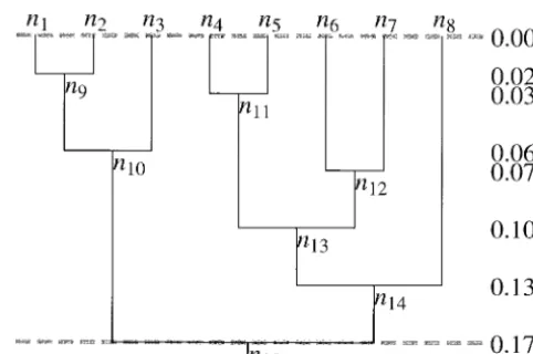 Figure 1.—We assume that a rooted binary tree describesthe genealogy of the sequences n to n