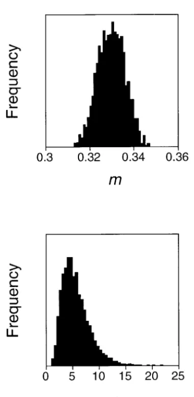 Figure 7.—The posterior probability distributions for theparameters m and for the mammalian mitochondrial se-