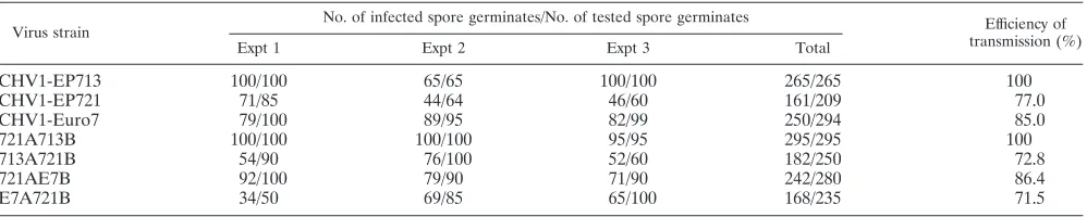 FIG. 3. Viral dsRNA quantiﬁcation of transfectants containingwild-type or chimeric hypoviruses