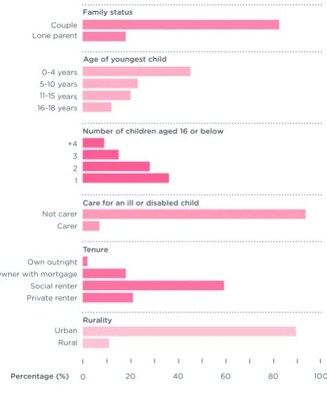 Figure 11 gives a breakdown of the poverty indicators for the pressured parents group, whose members struggle with the cumulative effect of multiple and severe problems, ranging from the economic (unemployment, or insecure work) to the social (depression a