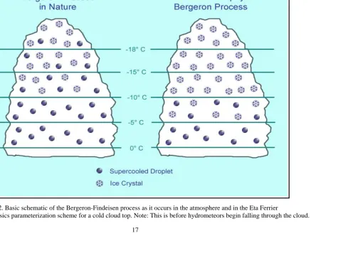 Figure 1.2. Basic schematic of the Bergeron-Findeisen process as it occurs in the atmosphere and in the Eta Ferrier  microphysics parameterization scheme for a cold cloud top