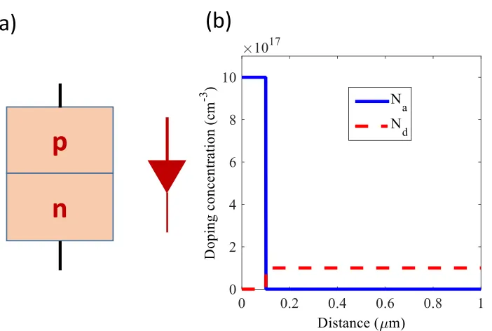 Figure 1.1: (a) schematic of p-n junction, (b) doping concentration profile of InGaP p-n junction