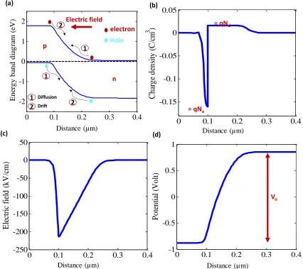 Figure 1.2: Schematics of In0.49Ga0.51P p-n junction at thermal equilibrium (zero-bias/without illumination): (a) Energy band diagram, showing the drift and diffusion carriers’ components