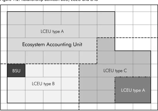 Figure 1.2: Relationship between BSU, LCEU and EAU