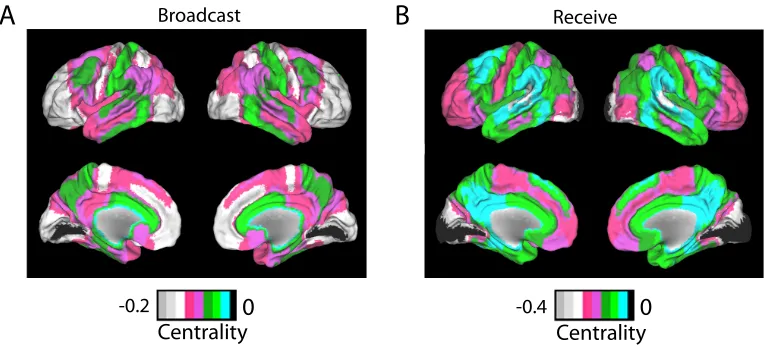 Figure 2: Anatomical Distribution of decrease over time (Day 3 minus Day1) in Broadcast and Receive Centralities