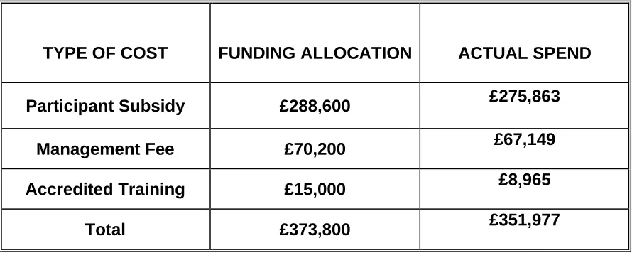 Table: GIP Funding Allocation and Cost   