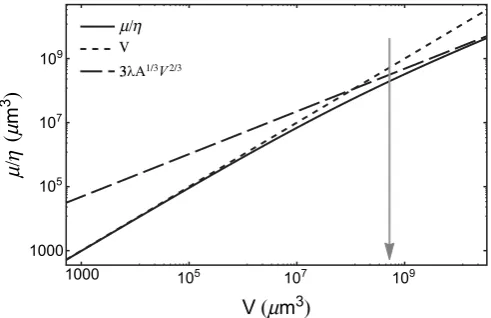 Figure 2 |z (zMethods). The black line is a single fit of Eq. (8) to all data shown in thefigure: the fit yields Doubly normalized glucose consumption rate ^mN~m^N zð Þ vs