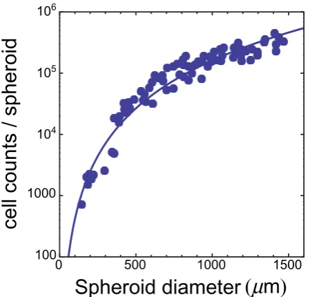 Table 4 | Curated human tumour data. The final lines in the tablereport the corresponding mean values, standard deviation andcoefficient of variation of cell volume and glucose consumption ratewww.nature.com/