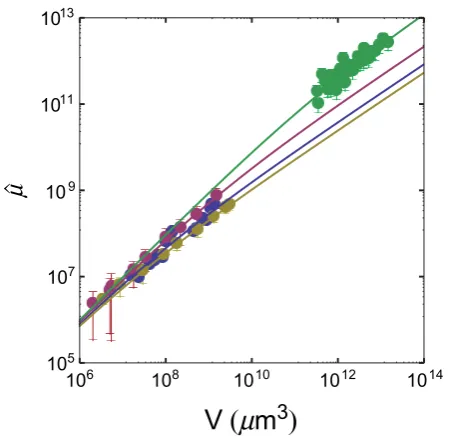 Figure 7 |experimental data; lines, nonlinear fit.lines refer to different experimental data-sets and are as follows: blue, 9Lspheroids; red, Rat1-T1 spheroids; yellow, MR1 spheroids; green, human Nonlinear fits of the four data-sets with Eq