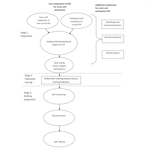 Figure 2 Baseline components of PA consultation for adults with IDs.