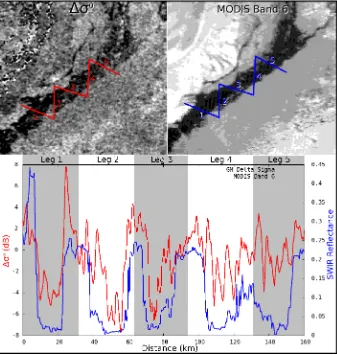 Fig. 10. Comparison of value proﬁles of �σ 0 (top-left image, red proﬁle) and MODIS Band 6 (1628–1652 nm) (top-right image, blueproﬁle) from a section of the ﬂooded Indus on 10 August 2010.
