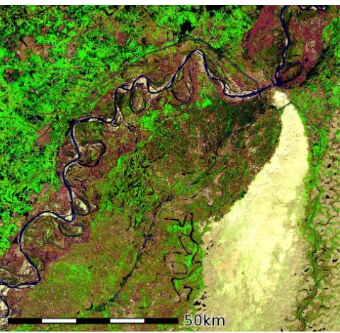 Fig. 9. Landsat composite colour image of the Indus and its ﬂood-plain southwest of Sukkur