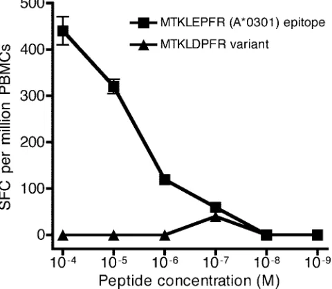 FIG. 2. MTKILDPFR variant evades recognition by CTL speciﬁcfor the MTKILEPFR epitope. The antigenicity of the peptide MTKI