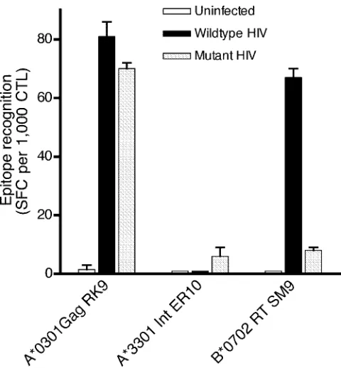 FIG. 5. Flanking mutation E169D speciﬁcally abolishes recognitionof the RT epitope SM9 (RT aa 156 to 164)