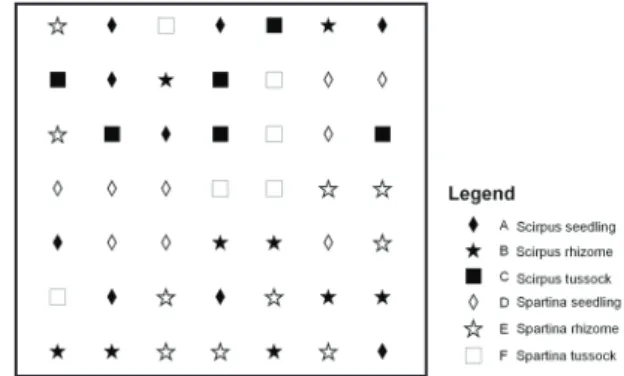 Fig. 2.2 Experimental setup at the SP and SPSC site, block design