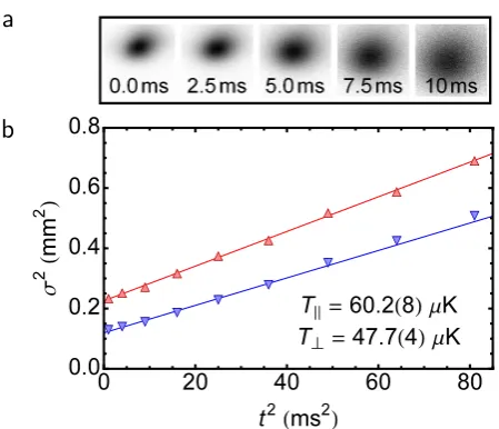 FIG. 5:Temperature measurements on chip Bballistic expansion, after optical molasses.