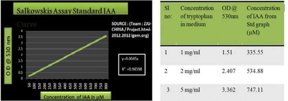 Fig 4: Change in color of medium after incubation with isolate from yellow to red after the addition of Salkowskis reagent indicates the production of IAA.For IAA detection isolate was grown in NB with different concentration of Tryptophan (1 mg/ml, 2mg/ml