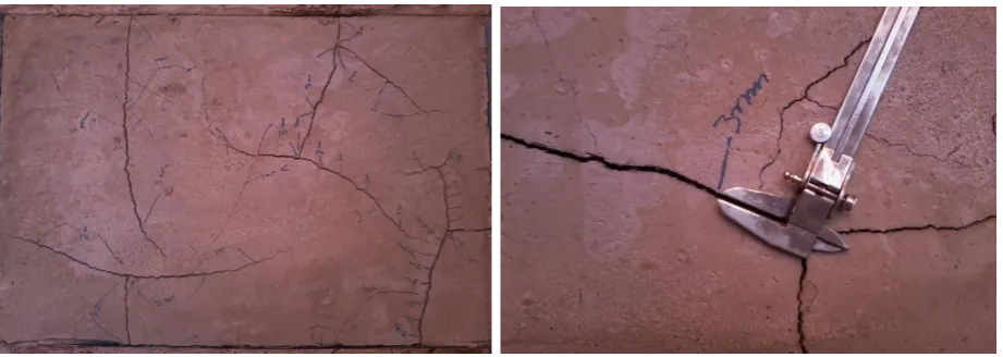 Figure 1 showing test specimens after 20 hours of testing. A control panel (left) show maximum cracking