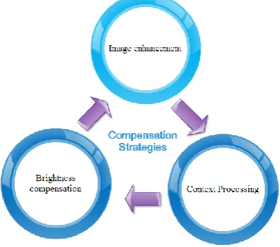 Fig 1. Image Compensation Strategies  