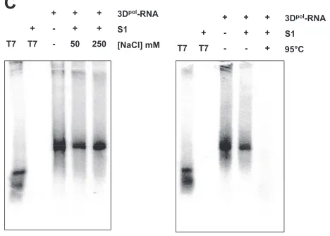 FIG. 7—Continued.