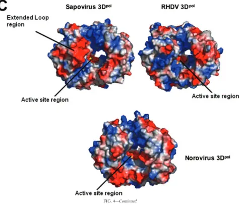 FIG. 4—Continued.